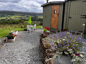 Shepherd's Hut Bilsdale